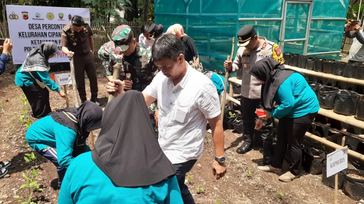 TANAM: Sejumlah pejabat saat penanaman bibit pangan di Kelurahan Cipameumpeuk Kecamatan Sumedang Selatan, kema