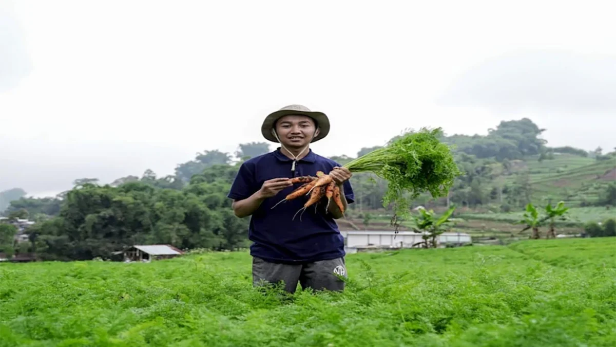 REKRUITMEN: Kementrian Pertanian (Kementan) Republik Indonesia buka pendaftaran Petani Milenial.