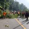 TANGANI: Sejumlah petugas aparat saat mengevakuasi pohon tumbang di Jalan Cadas Pangeran, Desa Cigendel, Kecam