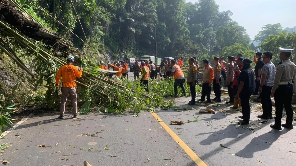 TANGANI: Sejumlah petugas aparat saat mengevakuasi pohon tumbang di Jalan Cadas Pangeran, Desa Cigendel, Kecam