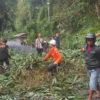 Rumpun Bambu Tumbang Lagi di Cadas Pangeran, Akses Jalan Sempat Terhambat