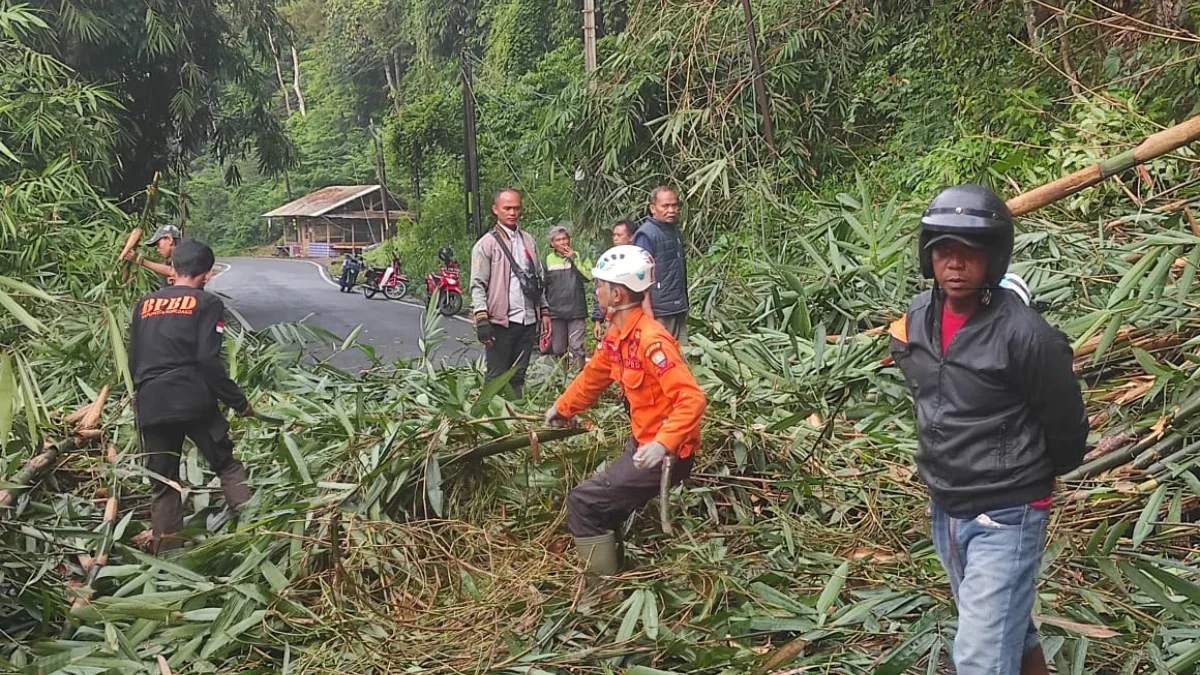 Rumpun Bambu Tumbang Lagi di Cadas Pangeran, Akses Jalan Sempat Terhambat