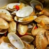 Manfaat Kandungan Nutrisi dan Cara Mengolah Kerang Batik