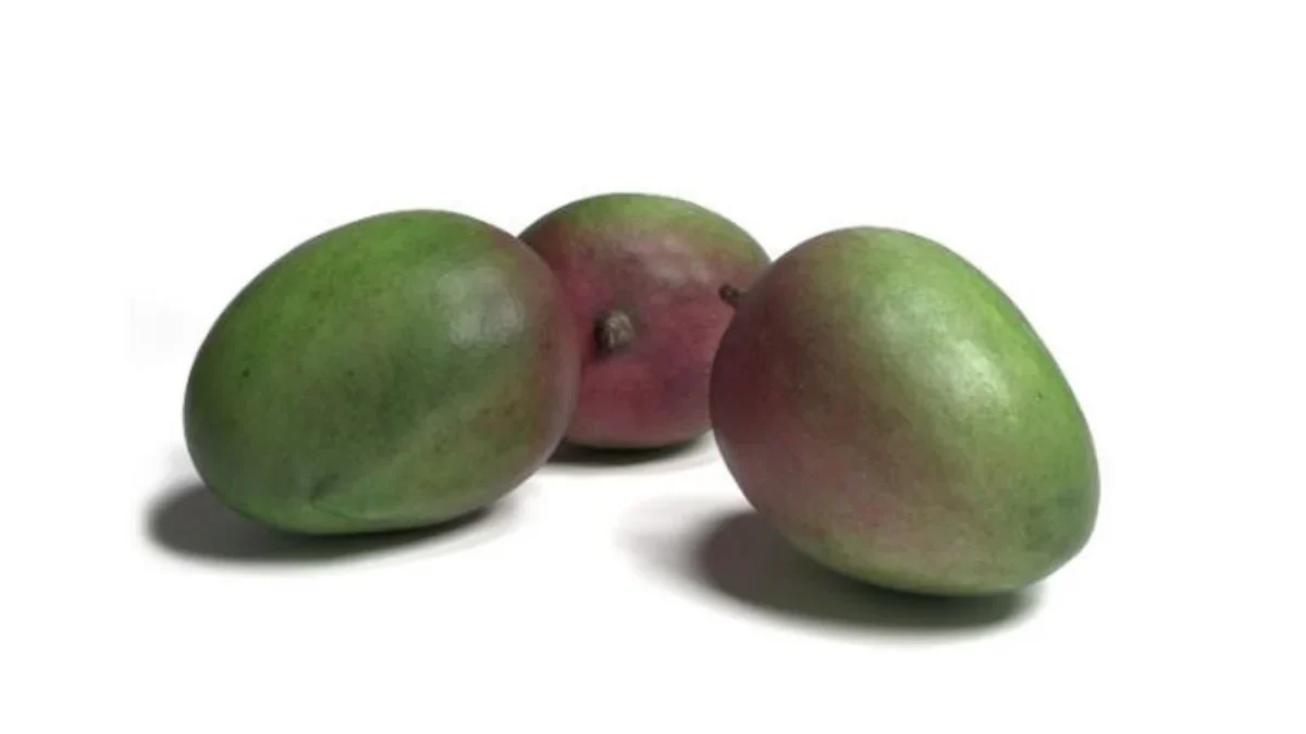 Manfaat buah bacang