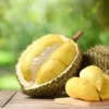 Kamu Doyan Durian? Kamu Harus Hati-hati! Berikut Makanan yang Tidak Boleh Dimakan Bersama Durian!