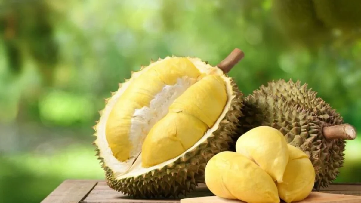 Kamu Doyan Durian? Kamu Harus Hati-hati! Berikut Makanan yang Tidak Boleh Dimakan Bersama Durian!