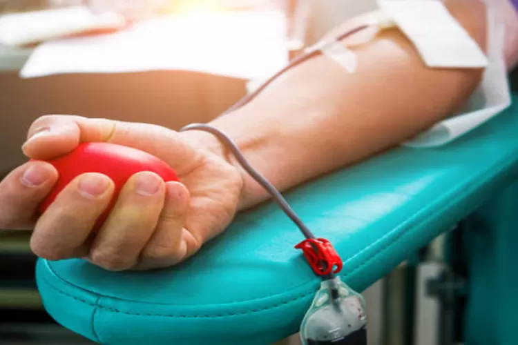 Manfaat donor darah bagi wanita sangat beragam dan signifikan