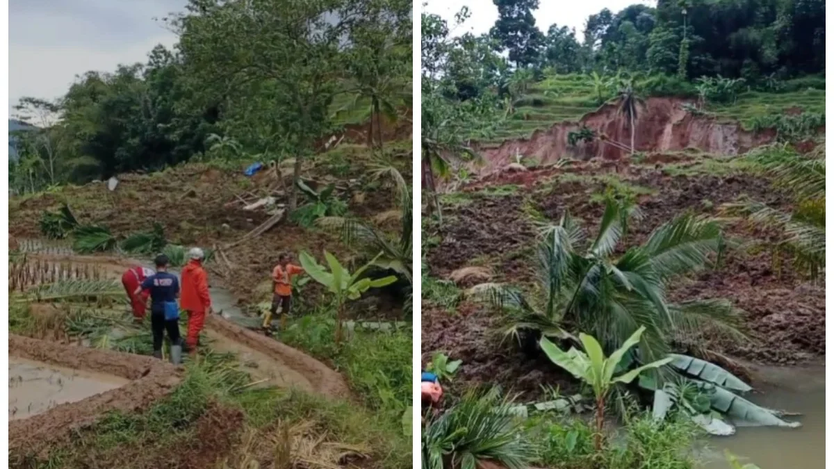 Longsor Landa Sumedang Selatan, Pesawahan Hancur Terseret Material