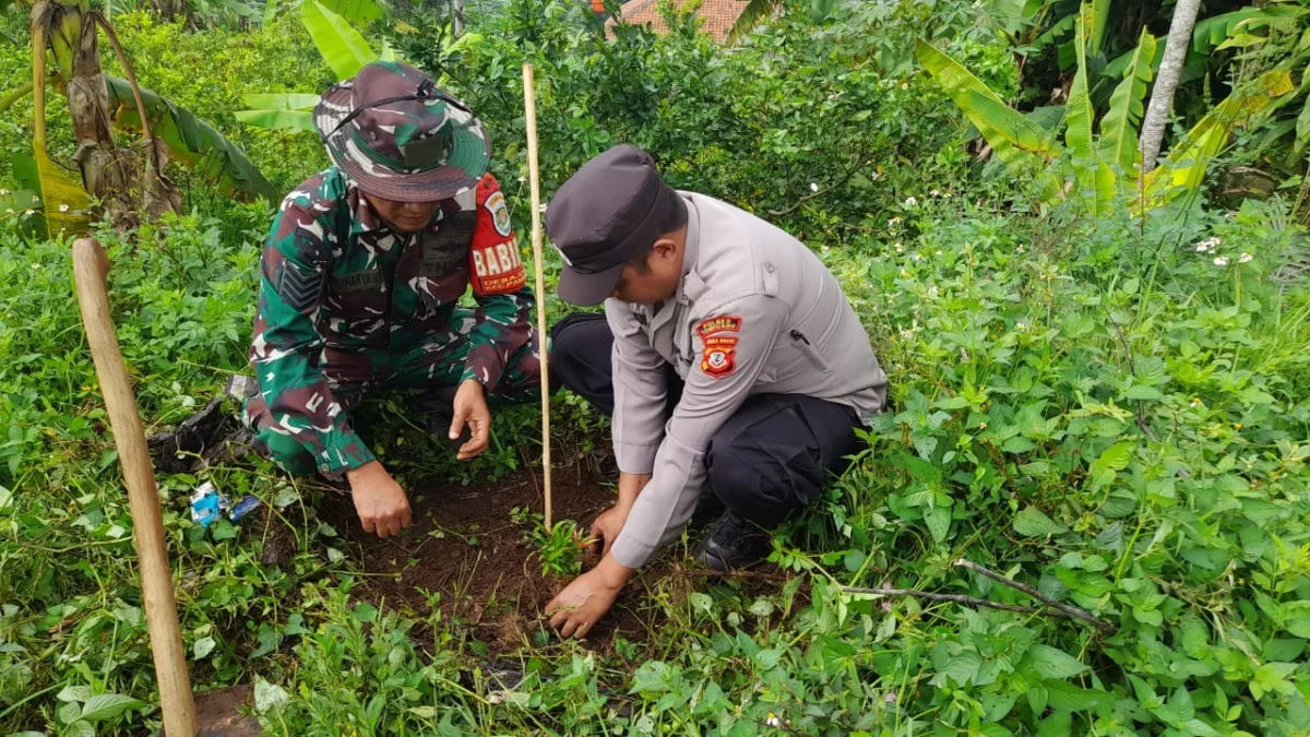 LESTARIKAN: Anggota Koramil 1004 Tanjungsari Kapten Inf Agus Hermawan saat menanam pohon di Pamulihan, baru-ba