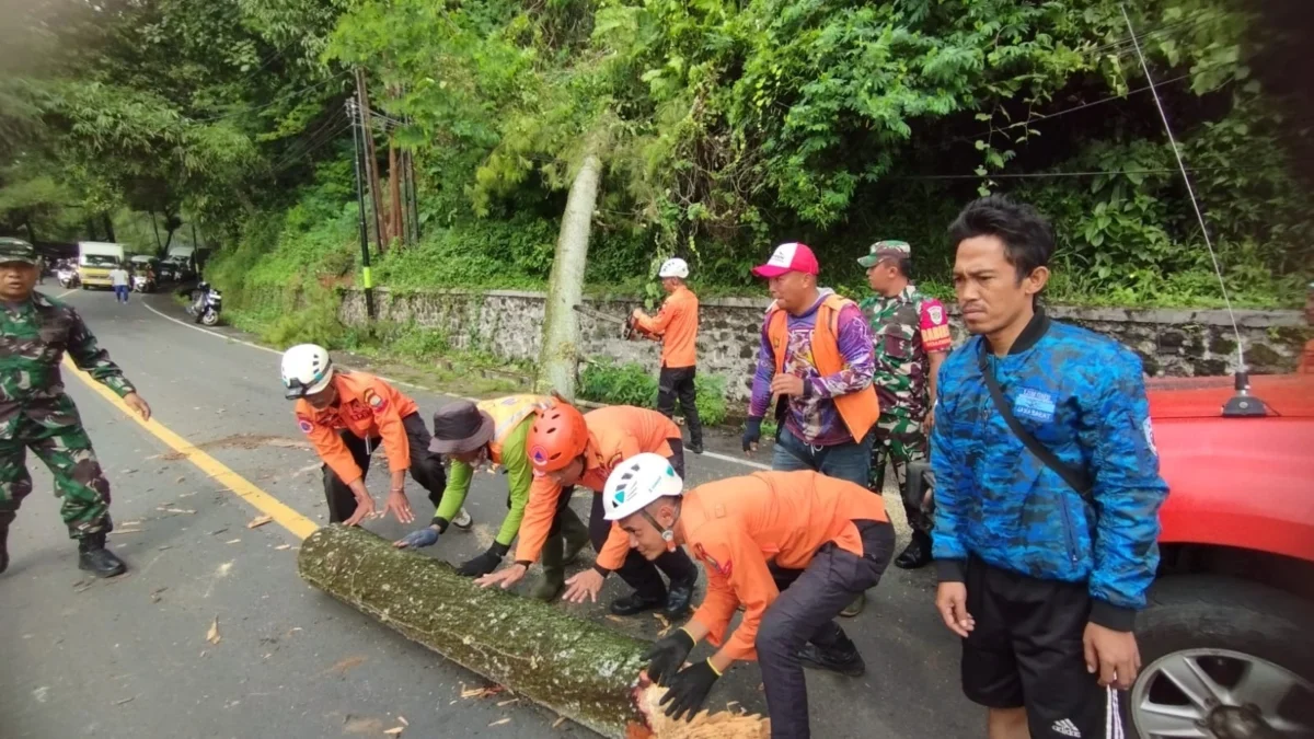 INSIDEN: Sejumlah petugas BPBD Kabupaten Sumedang saat mengevakuasi pohon tumbang di Jalan Raya Bandung-Sumeda