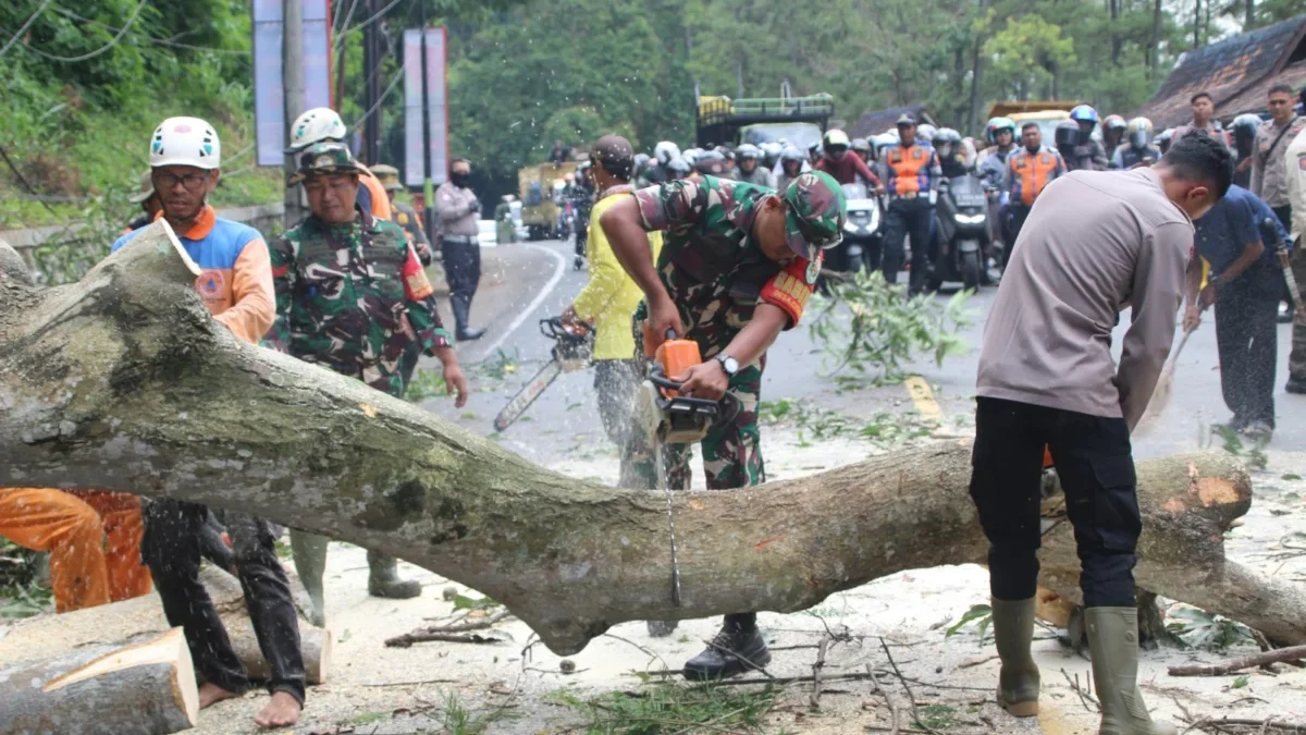 CEGAH: Personil TNI saat penebangan pohon guna mencegah terjadinya pohon tumbang di ruas Jalan Cadas Pangeran,