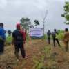 BERSINERGI: Petugas saat penanaman pohon di Desa Sukaratu, Kecamatan Darmaraja, baru-baru ini.