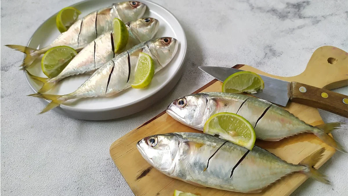 Ikan Sumber Protein yang Baik untuk Perkembangan Anak