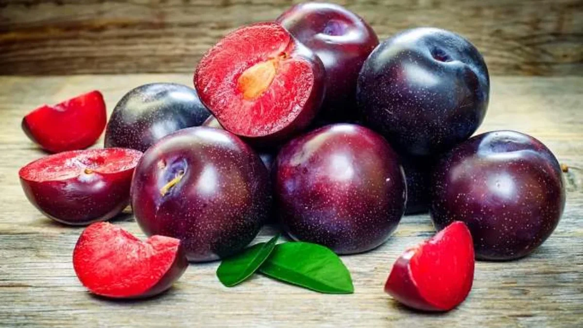 Beberapa manfaat buah plum yang patut Anda ketahui