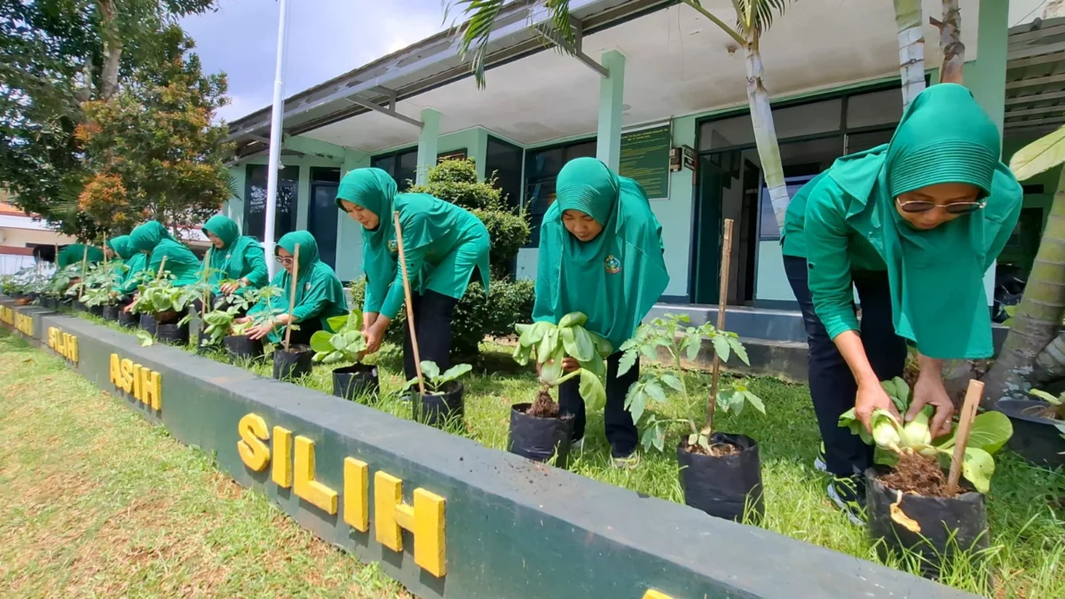 DUKUNG: Persit KCK Ranting 15 Cimanggung saat panen sayuran di Makoramil 1014/Cimanggung, baru-baru ini.