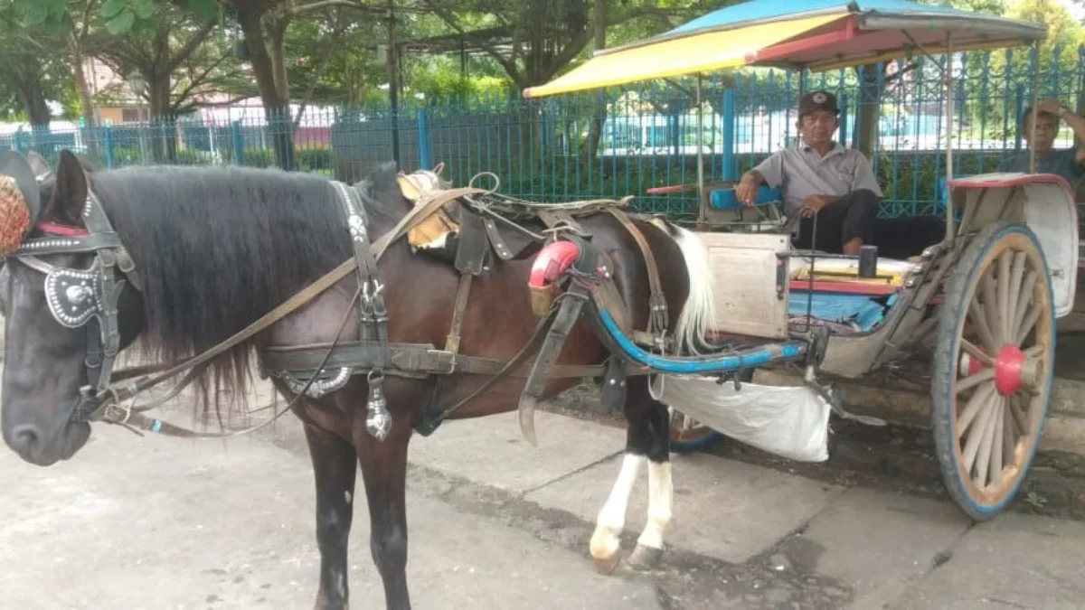 RESAH: Salah seorang kusir delman di Kota Sumedang mengeluhkan pendapatannya yang terus menurun, kemarin.