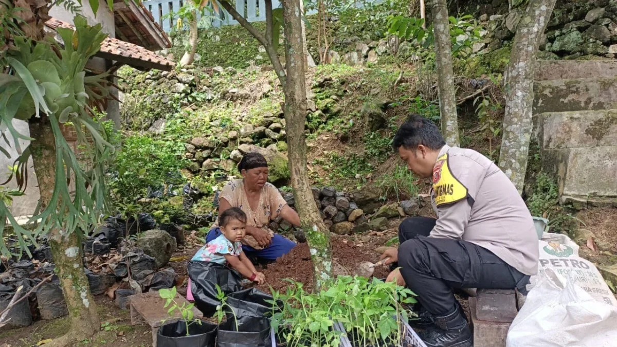 DAMPINGI: Bhabinkamtibmas Desa Awilega, Aipda Irwan K saat menanam tanaman bersama warga, baru-baru ini.