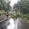 EVAKUASI: Jajaran Polsek Ujungjaya bersama warga melakukan pemotongan pohon tumbang yang sempat membuat macet