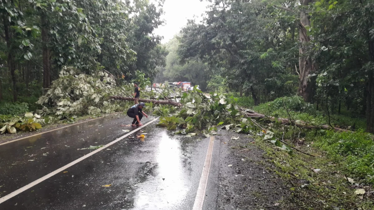 EVAKUASI: Jajaran Polsek Ujungjaya bersama warga melakukan pemotongan pohon tumbang yang sempat membuat macet