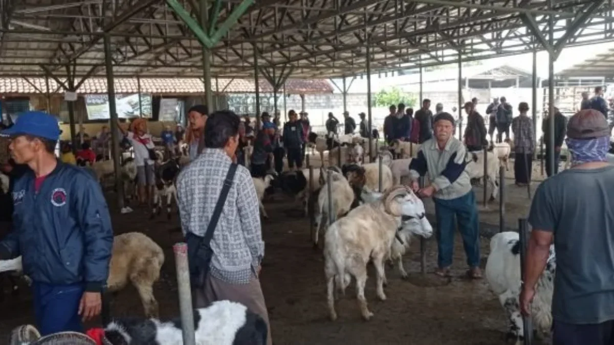 LESU: Sejumlah pedagang ternak di Pasar Hewan Tanjungsari.