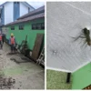 BPBD Sumedang Dorong Penebangan Pohon Palem Tak Layak di Lingkungan Masjid SMK Muhammadiyah 1