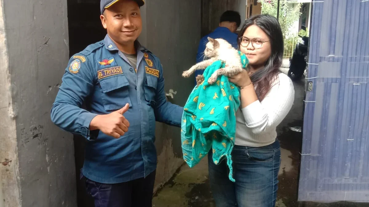 SELAMAT: Seekor kucing berhasil diselamatkan dari dalam sumur setelah dievakuasi Petugas UPTD Damkar wilayah K