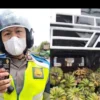 Polisi Buka Suara Soal Video Viral Tuduhan Sopir Pikap Bawa Sabu, Ini Faktanya