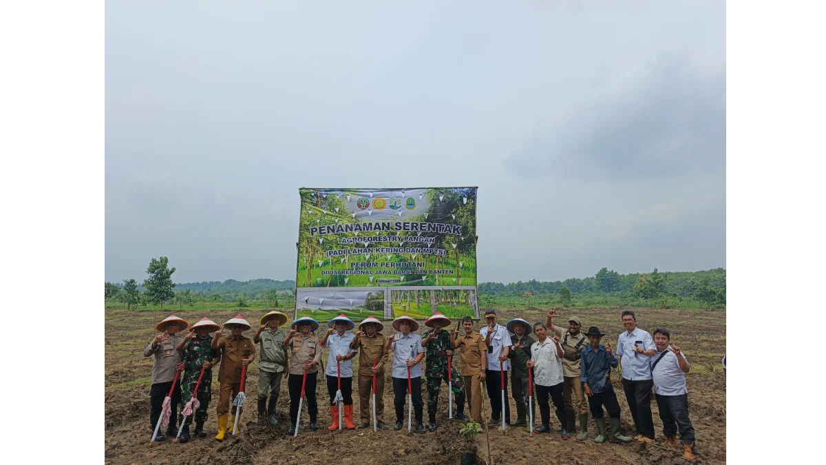 Dukung Asta Cita Pemerintah, Perhutani Divre Janten Menanam Tanaman Pangan: Penanaman Diawali di Ujungjaya