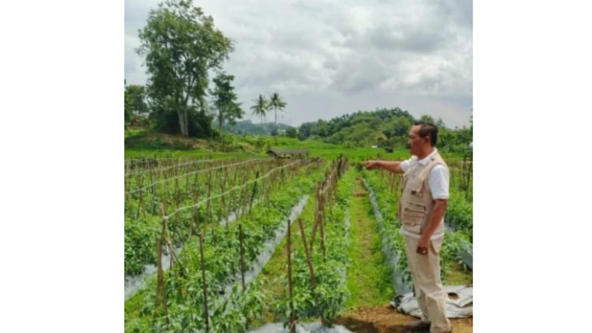 Pemdes Kebonjati Prioritaskan Ketahanan Pangan