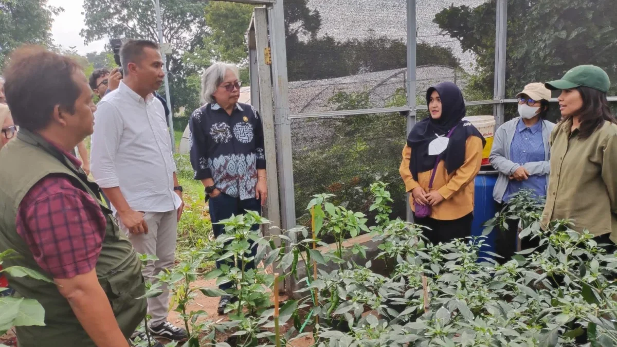 APRESIASI: Pj Gubernur Jabar, Bey Machmudin, saat mengunjungi Balai Benih Hortikultura (BBH) Pasirbanteng di D