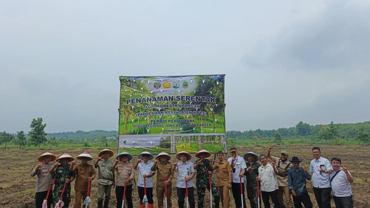 PRODUKTIF: Peserta kegiatan penanaman perdana di petak 53E Resor Pengelola Hutan (RPH) Kosambian BKPH Ujungjay