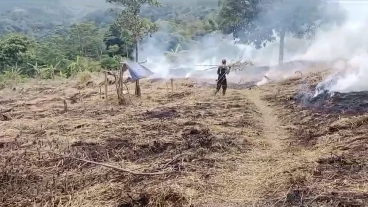 MANFAATKAN: Pemerintah Desa Cibitung Kecamatan Buahdua bersama warga saat menggarap tanah kas desa, baru-baru