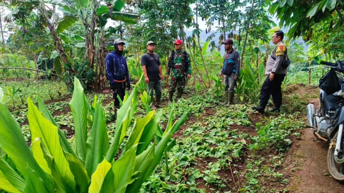 BUDIDAYA: Sejumlah aparat saat pencarian lahan untuk penanaman Padi Gogo di Kecamatan Tanjungmedar, kemarin.