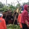 Angin Kencang Terjang Cimanggung, Pohon Tumbang Timpa Warung dan Putuskan Aliran Listrik