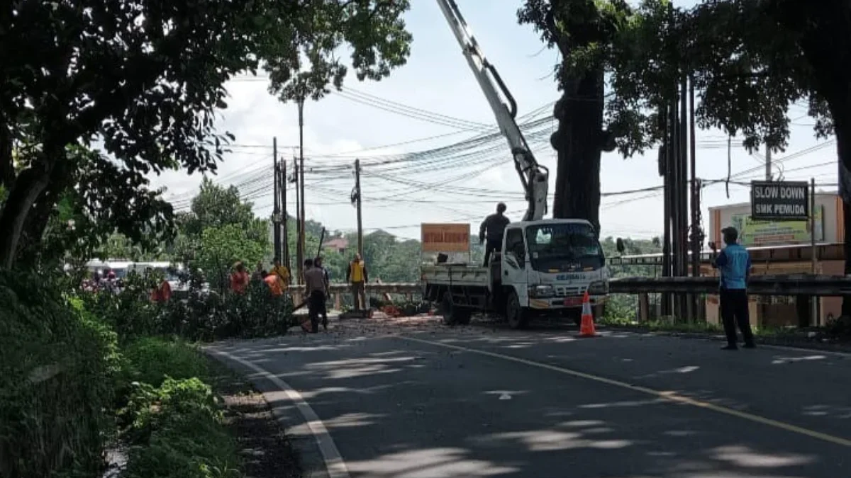 ANTISIPASI: Sejumlah petugas saat melakukan penebangan pohon di Jalan Raya Cimayor Kecamatan Sumedang Utara, k