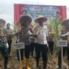 Polda Jabar Panen Raya Jagung di Sumedang, Dorong Ketahanan Pangan Berkelanjutan