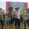 KOMITMEN: Polda Jawa Barat menggelar Panen Raya Jagung Serentak di Desa Sakurjaya, Kecamatan Ujungjaya, baru-b