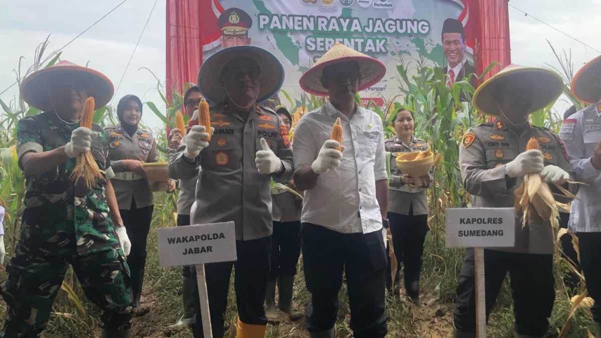 KOMITMEN: Polda Jawa Barat menggelar Panen Raya Jagung Serentak di Desa Sakurjaya, Kecamatan Ujungjaya, baru-b