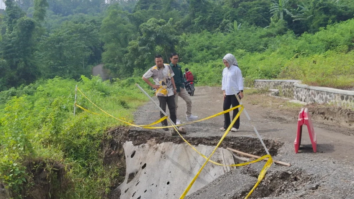 Cinot Tinjau Jalan Longsor di Haurpapak, Dorong Prioritas Perbaikan