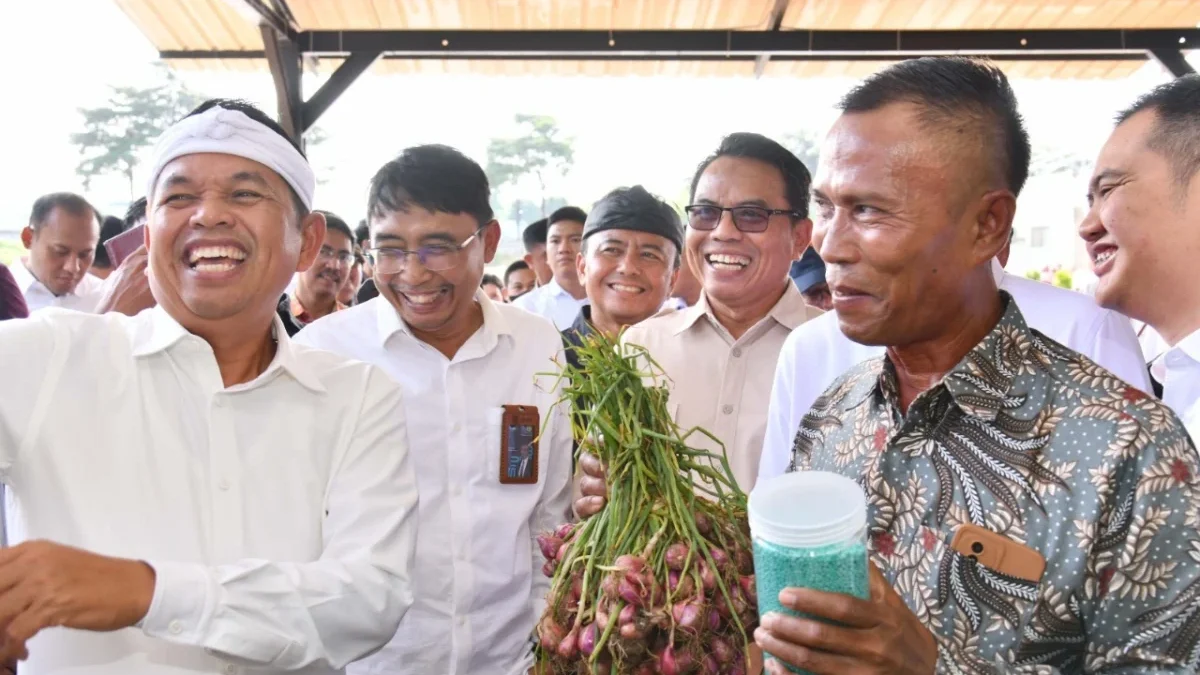 Dedi Mulyadi Pastikan Stok Pupuk di Jabar Aman