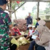 BERPERAN: Sejumlah petugas saat menghadiri panen jagung hibrida bersama Kelompok Tani Mekar Bahagia di Tanjung