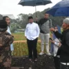 Di Cipacing Bupati Sumedang Tinjau Sungai Cibeusi dan Serap Aspirasi Warga