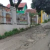 MEMPRIHATINKAN: Salah seorang pengendara saat melintas di ruas jalan yang rusak di Desa Cimanggung Kecamatan C