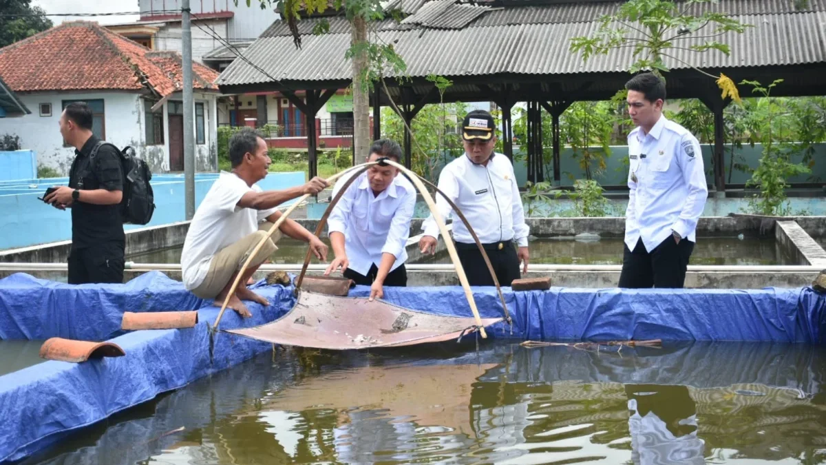 OPTIMALKAN: Wabup Sumedang M Fajar Aldila didampingi Kadis DPP Sumedang Tono Suhartono saat melihat kolam pemb