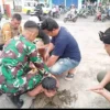 AMANKAN: Sejumlah aparat saat mengamankan ODGJ yang kerap mengganggu masyarakat di Kecamatan Cimanggung, baru-