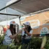 Langkah berkelanjutan ini dilakukan sejak beberapa tahun lalu dimana sebanyak dua Orangutan Kalimantan dan pen
