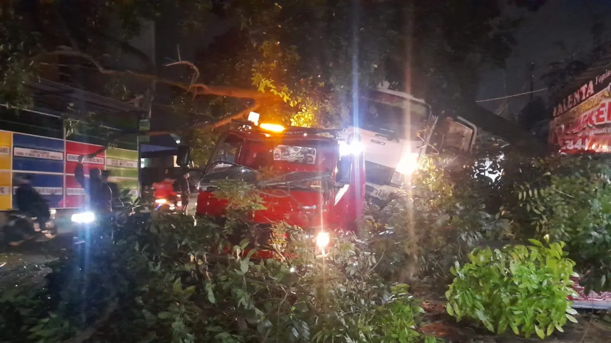 KECELAKAAN: Sejumlah petugas saat mengevakuasi mobil derek yang tertimpa pohon di Jalan Raya Tanjungsari, baru