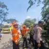 TANGANI: Sejumlah unsur saat melakukan evakuasi pohon tumbang di di depan PT Hasasi, Dusun Pangsor, Desa Cihan