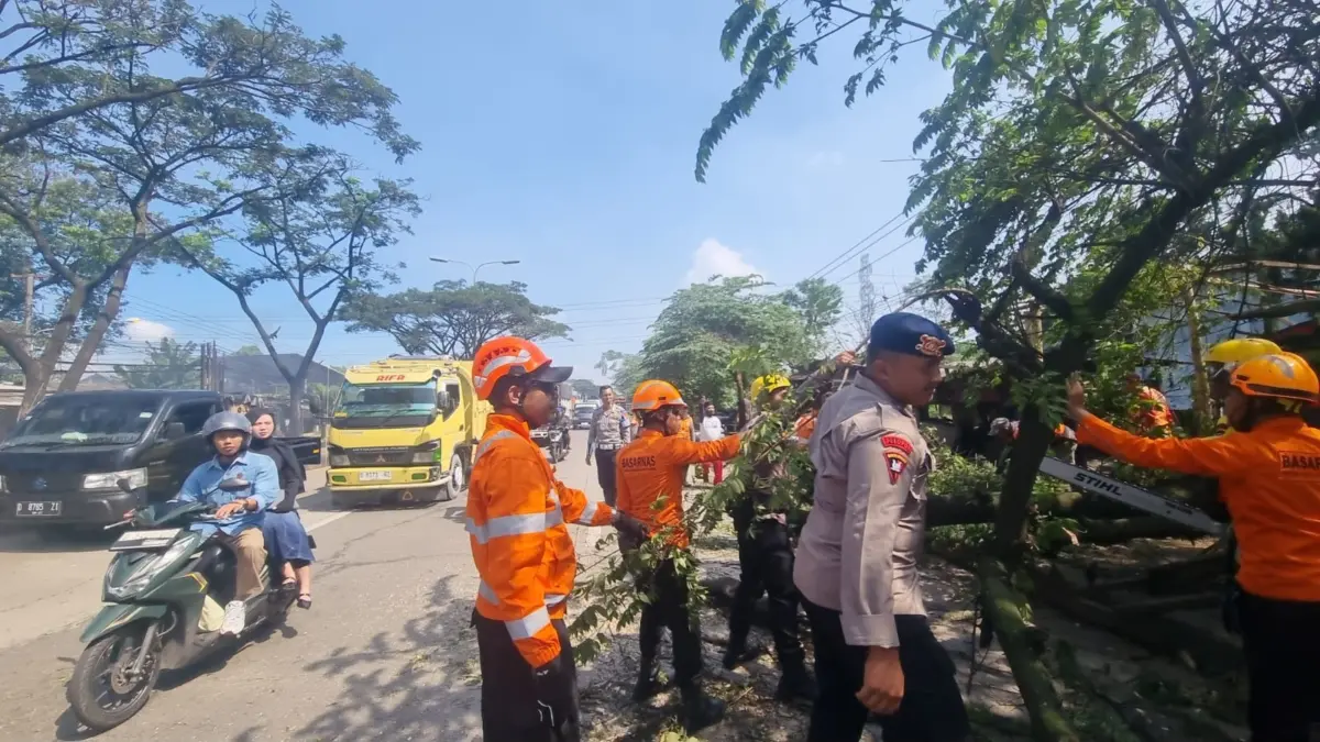 TANGANI: Sejumlah unsur saat melakukan evakuasi pohon tumbang di di depan PT Hasasi, Dusun Pangsor, Desa Cihan