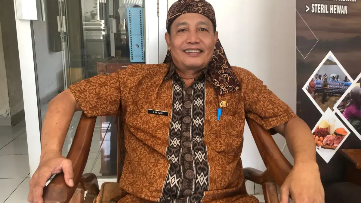 Dinas Peternakan Siapkan Bantuan 150 Domba untuk Petani Tembakau yang Juga Peternak di Sumedang